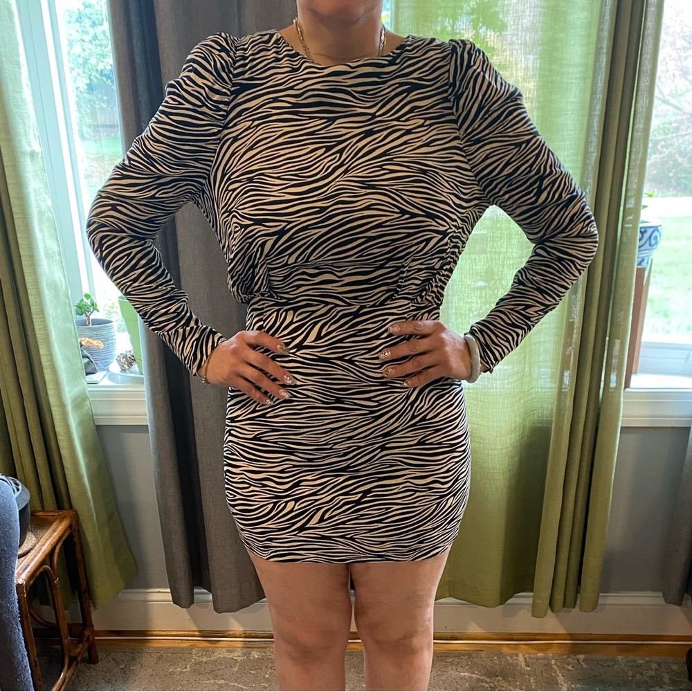 Zebra Print Long Sleeve Dress